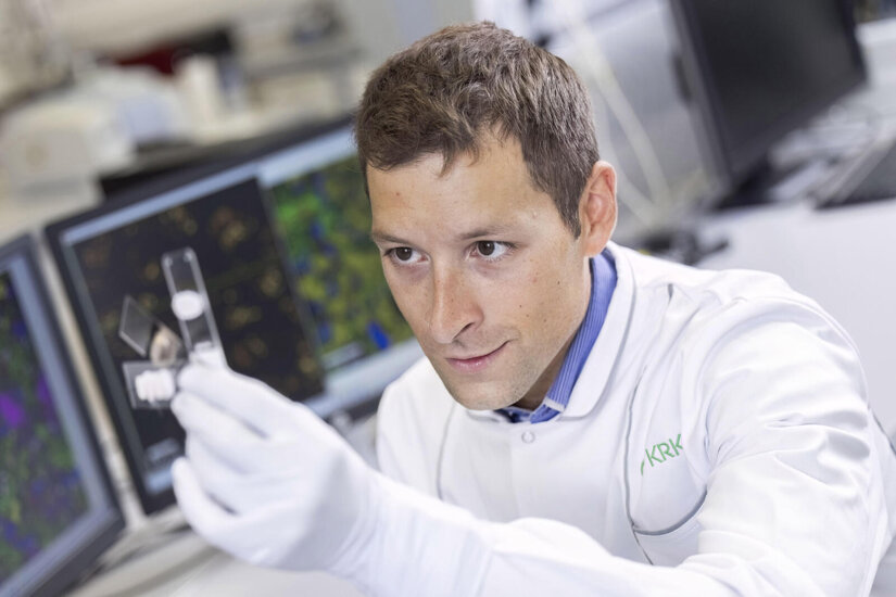 Prezentacja szacowanych wyników operacyjnych Grupy Krka za rok 2025